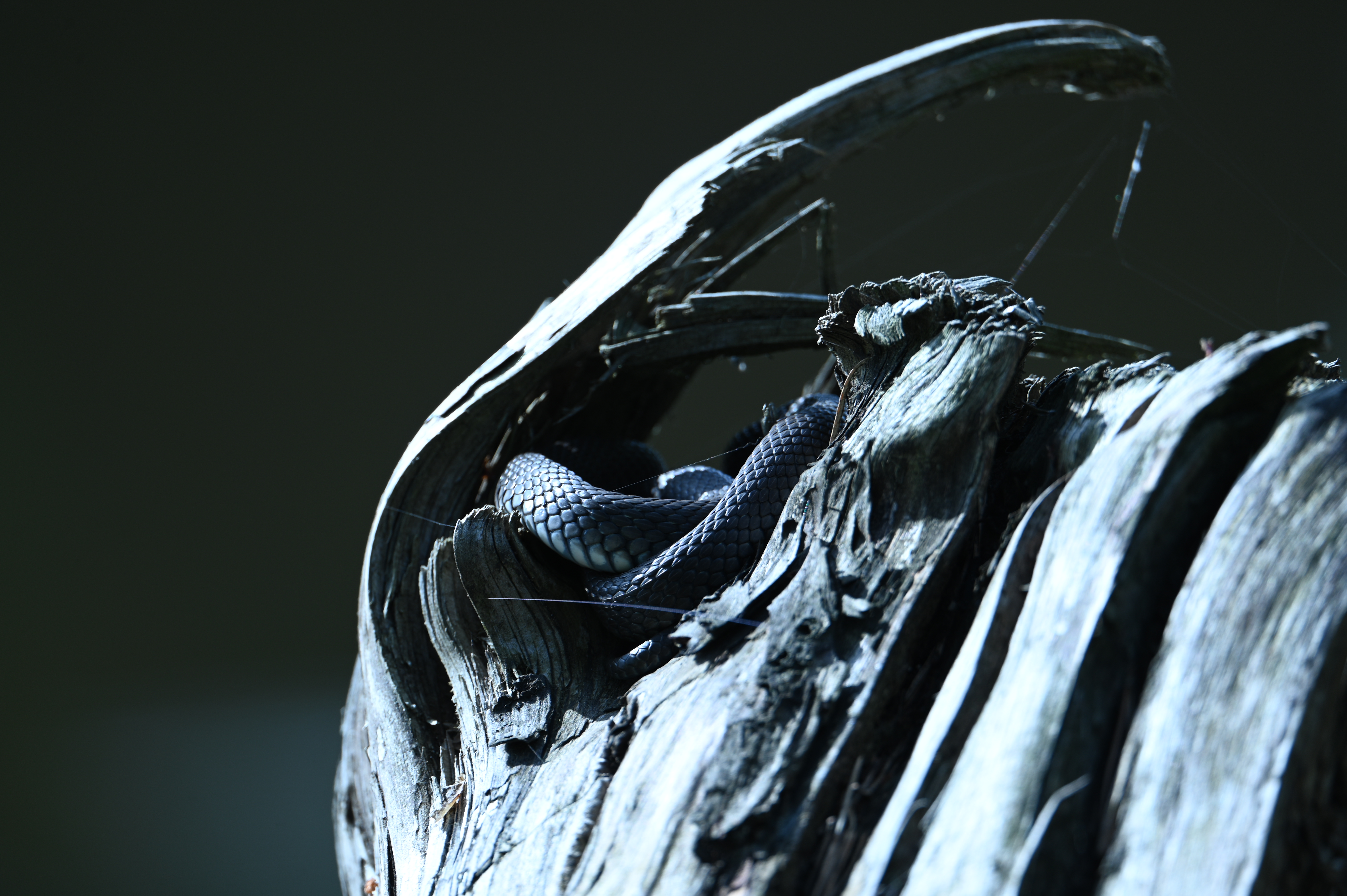 2025/07/09-14 - trip/DSC_0489.JPG